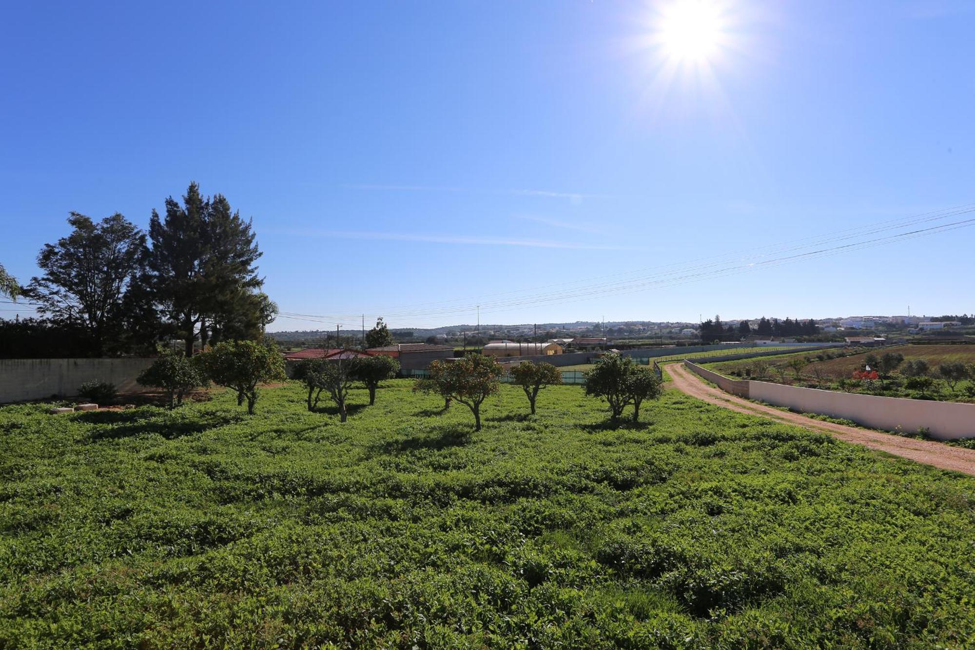 OdiáxereQuinta Da Ponteアパートメント エクステリア 写真